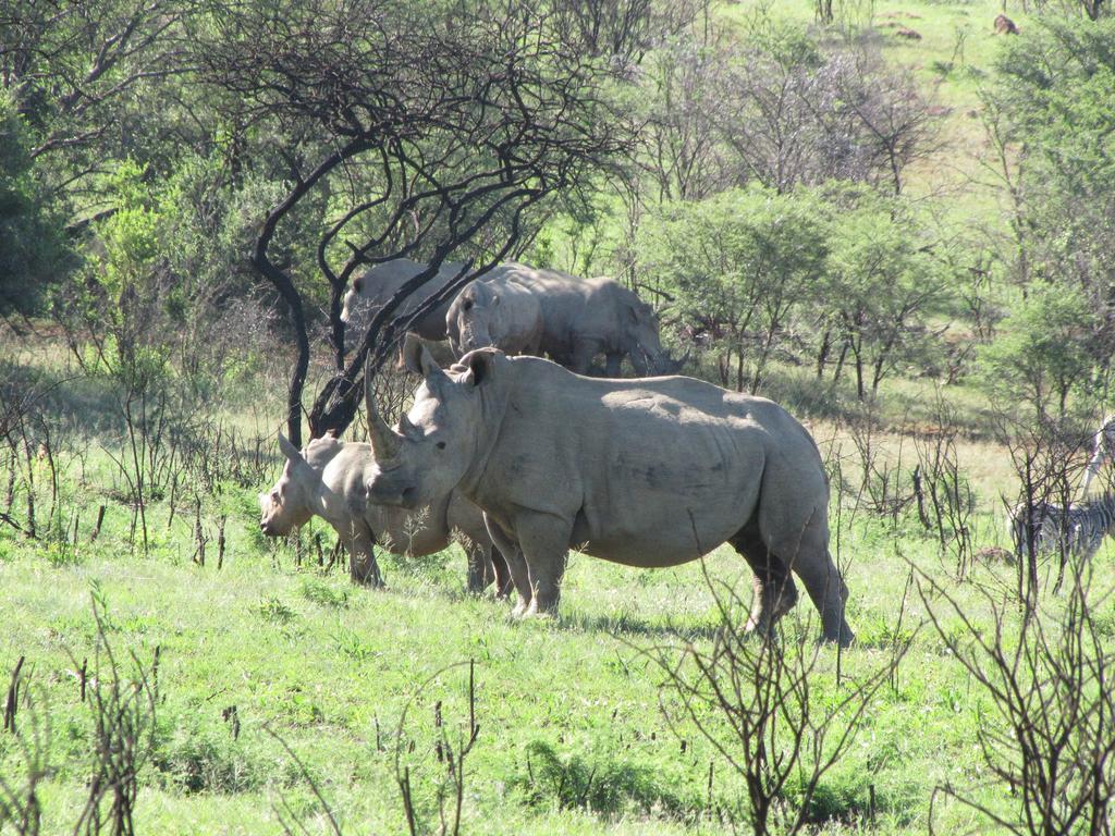 Spion Kop Lodge